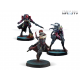 Beyond Wildfire Expansion Pack Combined Army Infinity by Corvus Belli reference 280028-0798