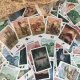 Juego de cartas ¡Extinción! de Tranjis Games