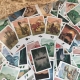 Juego de cartas ¡Extinción! de Tranjis Games