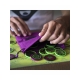 Back to the Jungle board game from Tembo Games