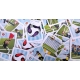 Primer juego de cartas de Los Futbolísimos Campo 4 de S.M. Ediciones
