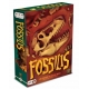 In the board game Fossilis you are a paleontologist about to embark on the adventure of your life