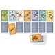 Card game What a pirate! Mercury Distributions