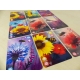 Bees: The Secret Kingdom is family game based on Bees