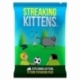 Streaking Kittens