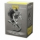 Dragon Shield Mate Fenrir Art Case (100)