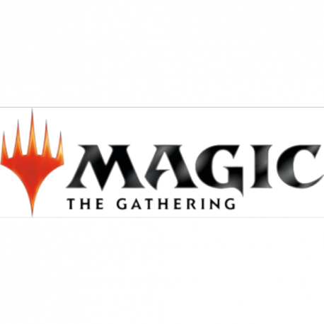 Mtg Adventure In The Forgotten Realms Draft (36) Castellano
