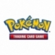 Pokemon Knock Out 17Q2 (10)