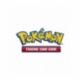 Pokemon Sword Shield 8 Elite Trainer Box