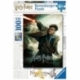 Puzzle 100 Harry Potter Lightning