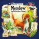 Meadow - DE