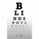 Blind Spot (Inglés)