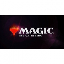 MTG - Modern Horizons 2 Collector's booster Display (12 Packs) - FR