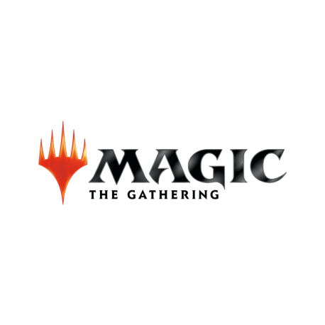 MTG - Expositor temático de aventuras en los reinos olvidados (12 paquetes) (Francés)