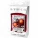 Ashes: Children of Blackcloud (Inglés)