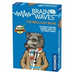 Brain Waves: The Brilliant Boar - EN