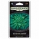 Arkham Horror LCG - Wo Götter wohnen Mythos-Pack - DE