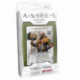 Ashes: The King of Titans (Inglés)