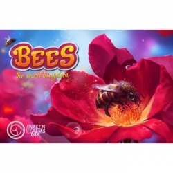 Bees - The Secret Kingdom - EN