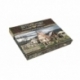 Town House - EN