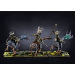 Conquest W'adrhun: Raptors (Inglés)