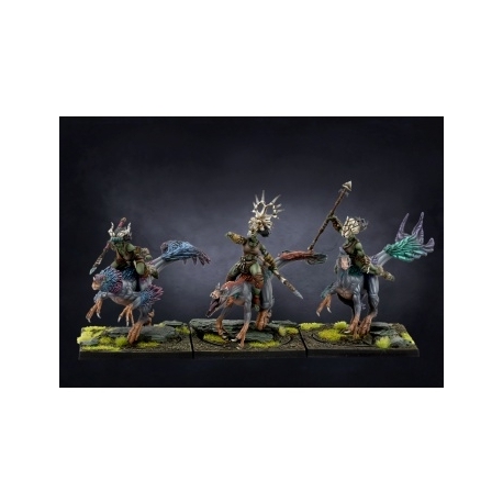 Conquest W'adrhun: Raptors - EN
