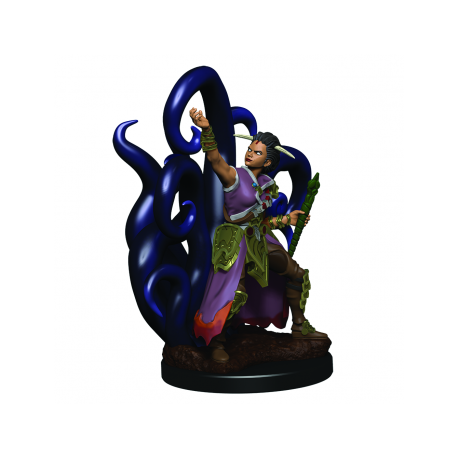 D&D Icons of the Realms Premium Figures: Female Human Warlock (6 Units)