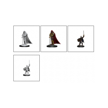 D&D Nolzur's Marvelous Miniatures - Human Paladin Male (6 Units)
