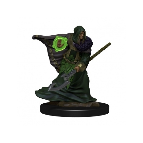 D&D Icons of the Realms Premium Figures: Elf Druid Male (6 Units) - EN