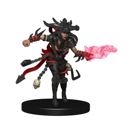 D&D Icons of the Realms: Set 10 Companion Starter Two - EN