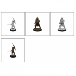 D&D Nolzur's Marvelous Miniatures - Human Fighter Male (6 Units)