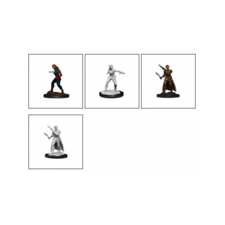 D&D Nolzur's Marvelous Miniatures - Shifter Rogue Female (6 Units)