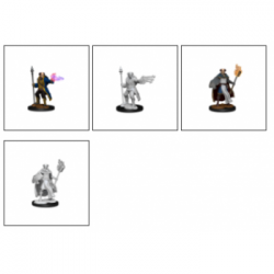 D&D Nolzur's Marvelous Miniatures - Multiclass Cleric + Wizard Male (6 Units)