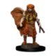 D&D Icons of the Realms: Premium Painted Figure - Human Druid Male (6 Units)