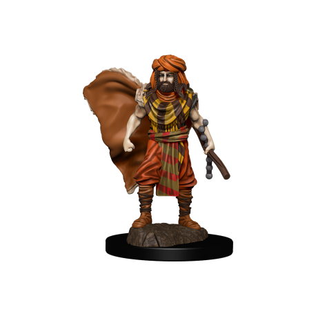 D&D Icons of the Realms: Premium Painted Figure - Human Druid Male (6 Units)