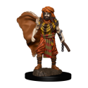 D&D Icons of the Realms: Premium Painted Figure - Human Druid Male (6 Units)