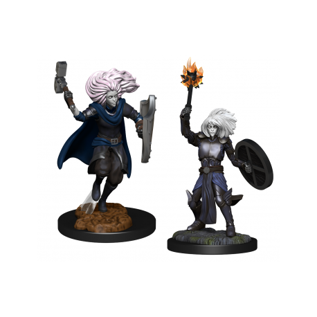 D&D Nolzur's Marvelous Miniatures: Changeling Cleric (2 Units)