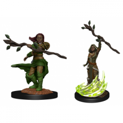 D&D Nolzur's Marvelous Miniatures: Human Druid Female (2 Units)