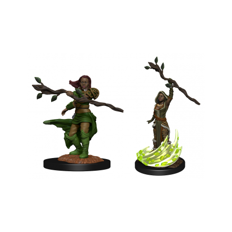 D&D Nolzur's Marvelous Miniatures: Human Druid Female (2 Units)