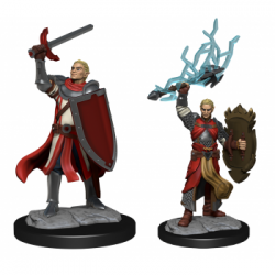 D&D Nolzur's Marvelous Miniatures: Half-Elf Paladin Male (2 Units)