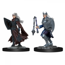 D&D Nolzur's Marvelous Miniatures: Kalashtar Cleric&nbsp;Female (2 Units)
