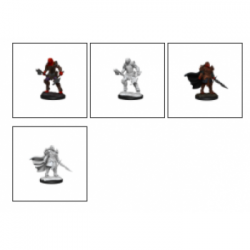 D&D Nolzur's Marvelous Miniatures: Dragonborn Fighter Female (2 Units) - EN