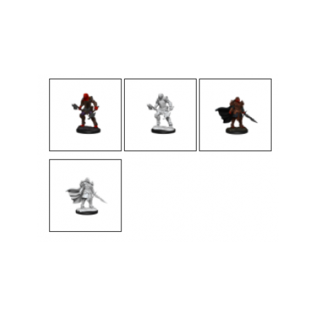 D&D Nolzur's Marvelous Miniatures: Dragonborn Fighter Female (2 Units) - EN