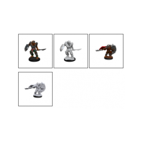 D&D Nolzur's Marvelous Miniatures: Dragonborn Fighter Male (2 Units) - EN