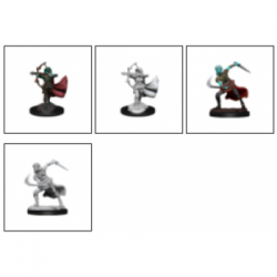 D&D Nolzur's Marvelous Miniatures: Air Genasi Female (2 Units) - EN