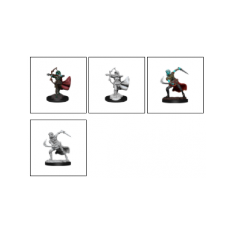 D&D Nolzur's Marvelous Miniatures: Air Genasi Female (2 Units) - EN