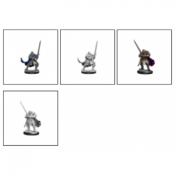 D&D Nolzur's Marvelous Miniatures: Half-Orc Paladin Male (2 Units) - EN