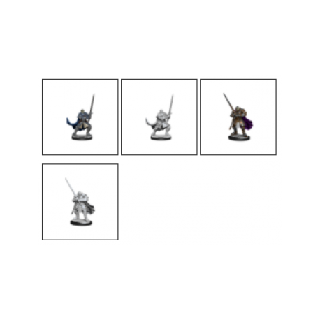 D&D Nolzur's Marvelous Miniatures: Half-Orc Paladin Male (2 Units) - EN