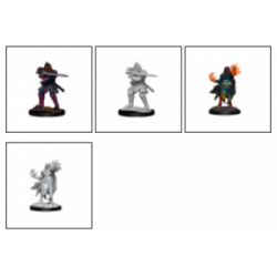 D&D Nolzur's Marvelous Miniatures: Hobgoblin Fighter Male & Hobgoblin Wizard Female (2 Units) - EN