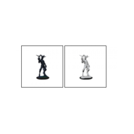 D&D Nolzur's Marvelous Miniatures: Nightwalker (2 Units) - EN